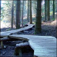 Haldon Trailbuilding maps available! - Second Image